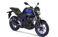Seken Keren: Part Kecil di Yamaha MT-25 Ini Patut Diwaspadai, Kalau Rusak Mesin Bisa Ambyar!