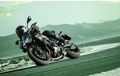 Kawasaki Z900 Model 2020 Meluncur, Tawarkan Empat Warna, Mana Yang Paling Garang?