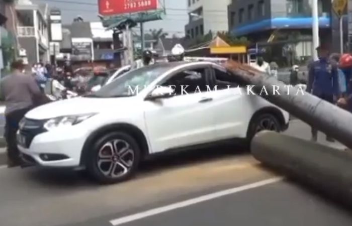 Honda HR-V tertimpa pohon Palem di Pondok Indah, Jakarta Selatan