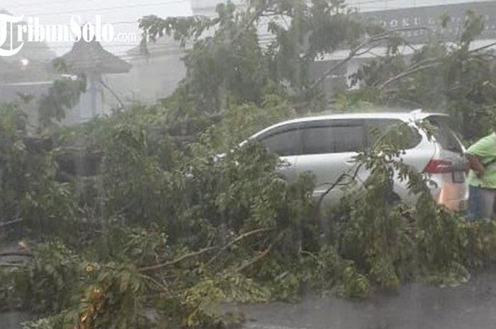 Toyota Avanza yang tertimpa pohon roboh di jalan raya Solo-semarang .