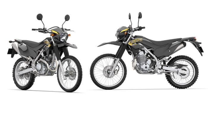 Kawaskai KLX 230 tipe standar