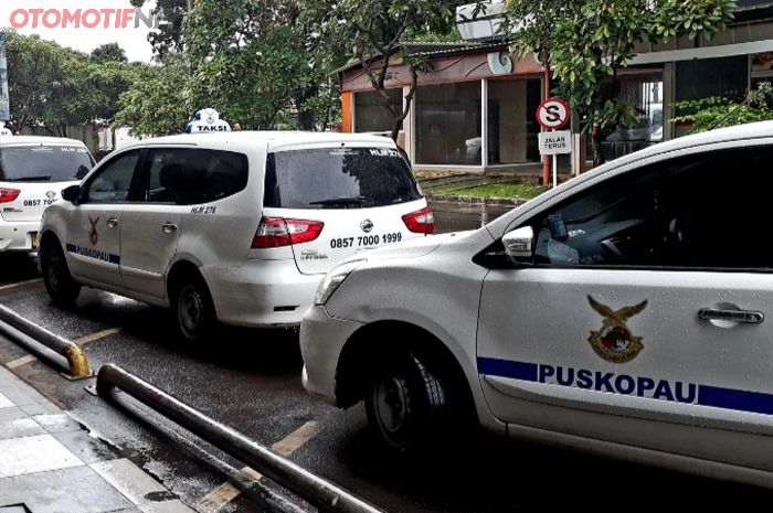 Taksi Puskopau antre menunggu penumpang di bandara Halim Perdanakusuma