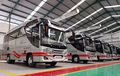 Intip Tampilan 5 Unit Medium Bus Milik White Horse Group, Sasis Pakai Mitsubishi Canter