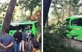 Heboh Bus Pariwisata Nyasar di Hutan Wonogiri, Teringat Kejadian Tahun 2019
