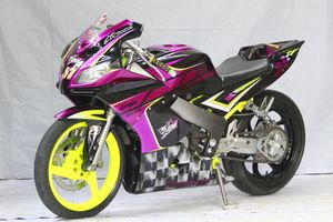 Kawasaki Ninja 150 Rr Ini Pakai Pro Arm Honda Nsr 150 Sp Pada Lengan Ayunnya Gridoto Com