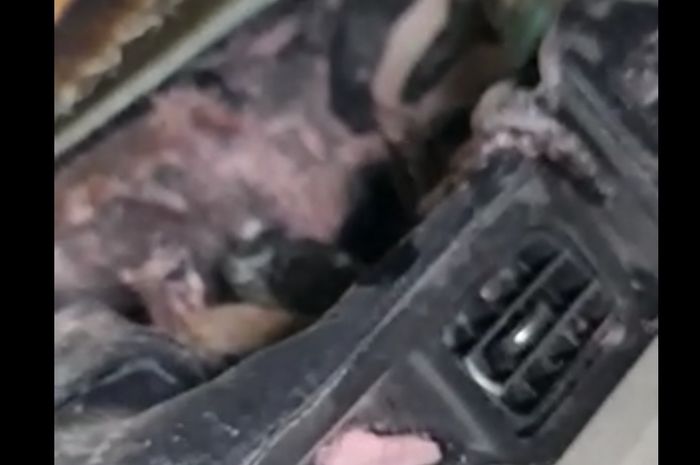 Interior Suzuki Ignis meleleh karena powerbank terbakar.