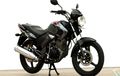 Tips Beli Honda Tiger Revo Bekas, Waspada Tangki Bocor dan Bagian Ini
