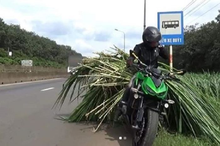 Kawasaki Z1000 dipakai angkut rumput