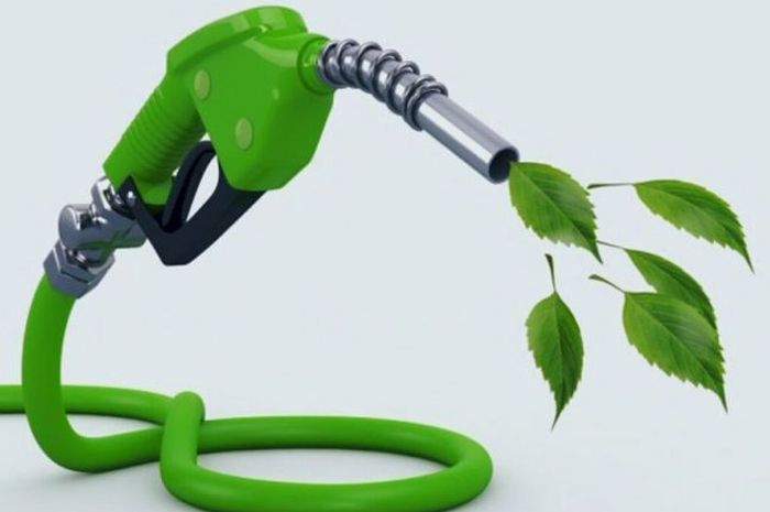 Ilustrasi biofuel