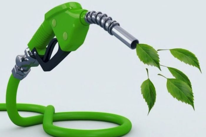 Ilustrasi biofuel
