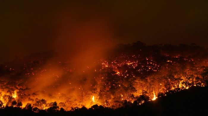 Kebakaran hutan Australia telah memakan korban jiwa dan banyak hewan mati, membuat Formula 1 tergerak melakukan lelang amal