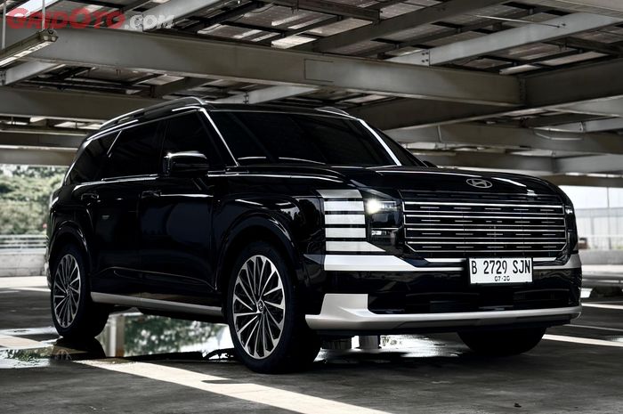 Hyundai Palisade Hybrid Callgraphy