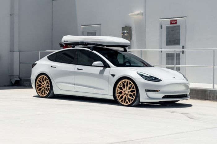Tesla Model 3 >> Modifikasi Mobil Listrik Tesla Model 3 Pakai Roof Box Dan Tesla Model 3 >> Modifikasi Mobil Listrik Tesla Model 3 Pakai Roof Box Dan