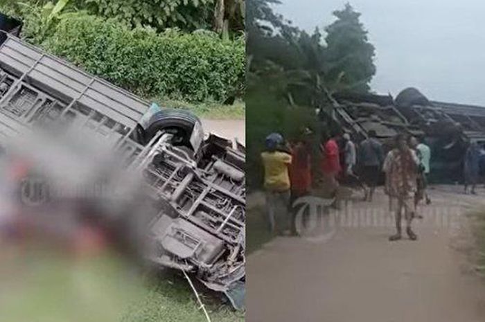 Kecelakaan bus PO Shantika terjun dari atas tol