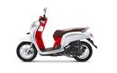 Motor Bekas Honda Scoopy  2017-2020 Sekarang Dijual Cuma Segini