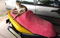 Jok Motor Rusak Dicakar Kucing? Ini Cara Mencegahnya, Modal Kain Rp 100 Ribuan