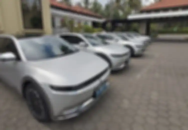 IONIQ 5, IONIQ 6, dan Genesis G80 Kena Recall Hyundai, Ini Penyebabnya