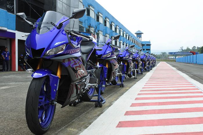 Yamaha New R25