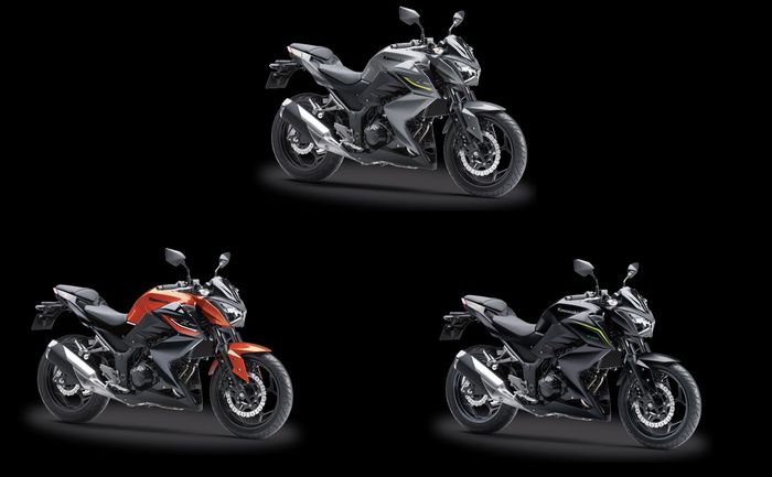 Warna Kawasaki Z250 standar