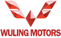 Wuling Rilis Teaser Baru, Sosok SUV Premium