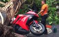 Kawasaki Ninja 250 Tertimpa Pohon, Helm Gepeng, Akibat Cuaca Ekstrim