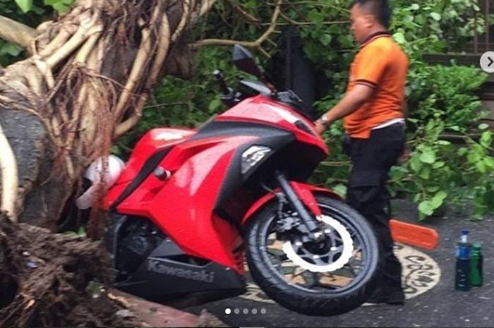 Kawasaki Ninja 250 tertimpa pohon tumbang