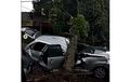 Video Avanza Tertimpa Pohon Akibat Puting Beliung di Bogor, 1 Orang Meninggal