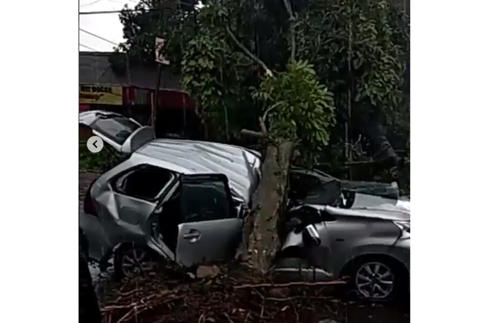 Toyota Avanza tertimpa pohon tumbang akibat angin puting beliung di Bogor