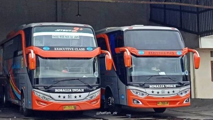 Ilustrasi bus PO Rosalia Indah Executive Class