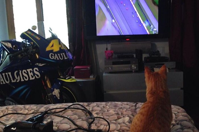 Si Kucing serius nonton Valentino Rossi
