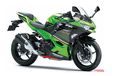 Kawasaki Rilis Warna Baru Buat New Ninja 250, Mirip Motor Jonathan Rea