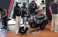 Siapa Bilang Mahal? Honda ST125 Dax Dijual Rp 81 Jutaan, 11 Hari Terjual Ratusan Unit