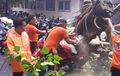 Cara Klaim Ganti Rugi Jika Motor Tertimpa Pohon, Langsung Lapor
