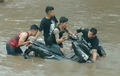 Yamaha NMAX Nyemplung Sungai, Ngangkat Ke Darat Penuh Perjuangan