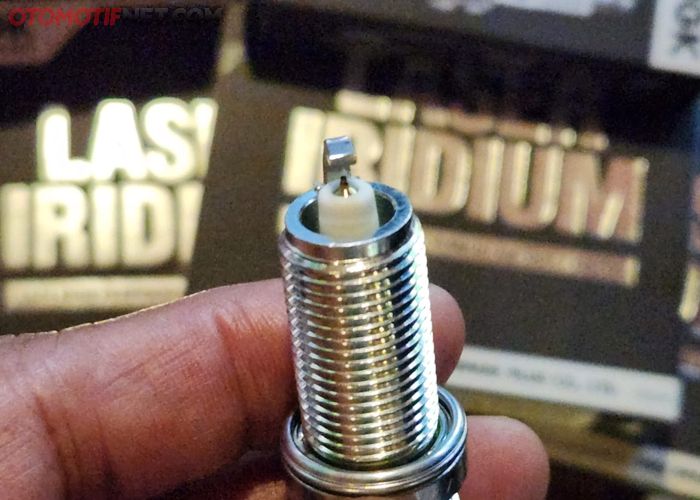 Rus professional Xandy porno aktrisalar