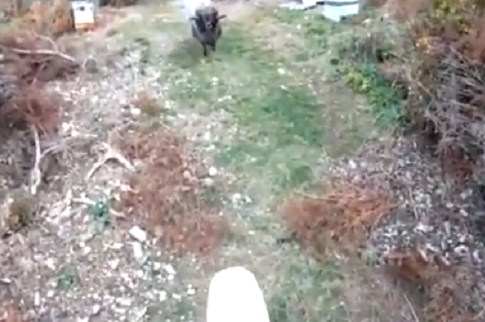 Instagram/Motoxupdates