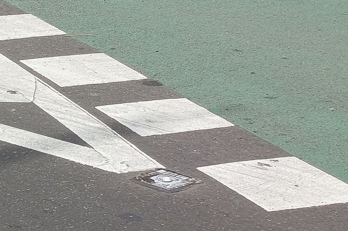 Kondisi mata kucing yang hilang akibat diambil orang tak dikenal, Rabu (11/2/2026).