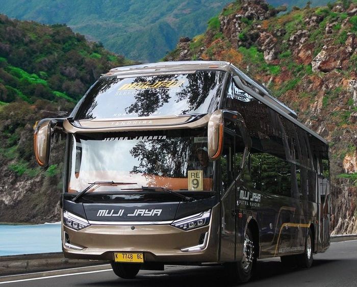 Bus PO Muji Jaya Putra Mandiri