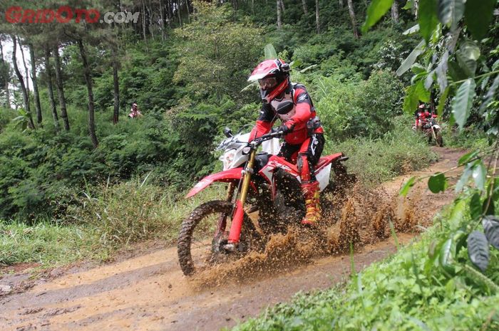 Ilustrasi pengendara motor trail saat terabas hutan.