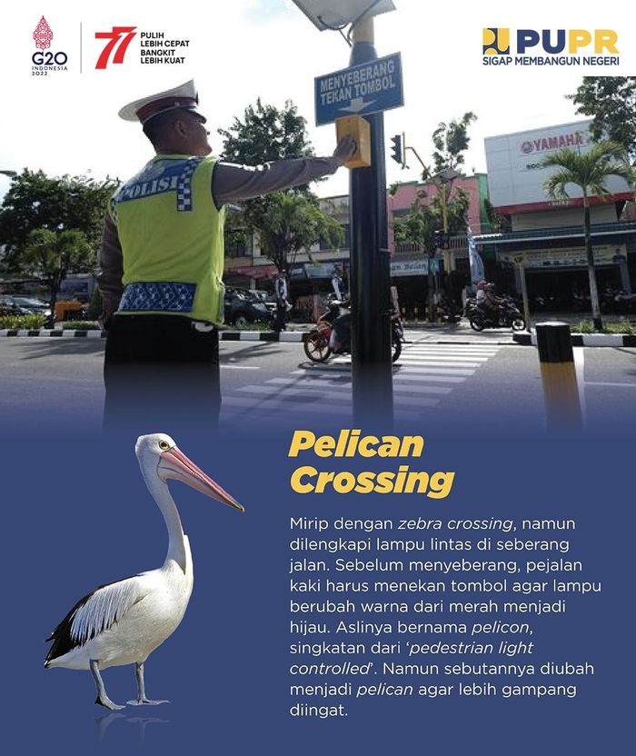 Pelican crossing, salah satu lokasi penyeberangan yang mirip zebra cross.
