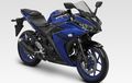 Jadi Pembicaraan, Kapan Sih Yamaha R25 Facelift Diluncurkan?