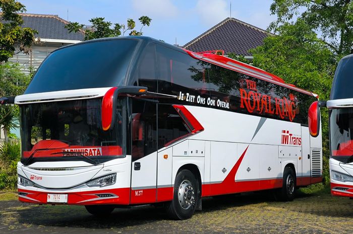Ilustrasi armada bus milik PO MTrans.