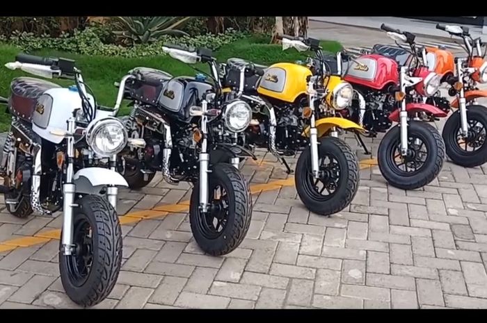 Naksir Honda Monkey  tapi Enggak Kesampaian Ada Nih yang 