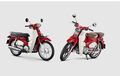 Beda dengan Versi Indonesia, Wujud Honda Super Cub Versi Thailand Ternyata Lebih Jadul