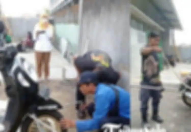 Bikin Geli, Ini Hal yang Bikin Ular Doyan Ngumpet di Bodi Motor