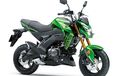 Warna Baru Kawasaki Z125 Ini Akan Dirilis Januari 2019, Keren Enggak?