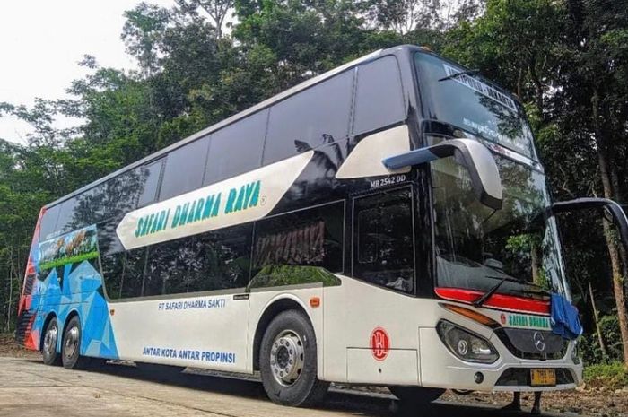 Armada bus tingkat PO Safari Dharma Raya yang melayani rute Jakarta-Jatipuro.