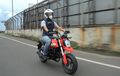 Honda Grom 2021, Harga Setara Ninja ZX-25R, Calon Buruan Kolektor