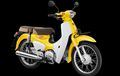 Tengok Spesifikasi Honda Super Cub C110, Versi Murah Super Cub  C125