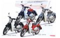 Warna Baru Honda Super Cub C125 Rilis di Jepang, Indonesia Kapan?